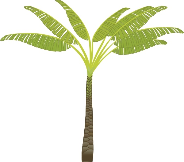 600x529 Palm Tree Clip Art Free Vector In Open Office Drawing Svg ( Svg