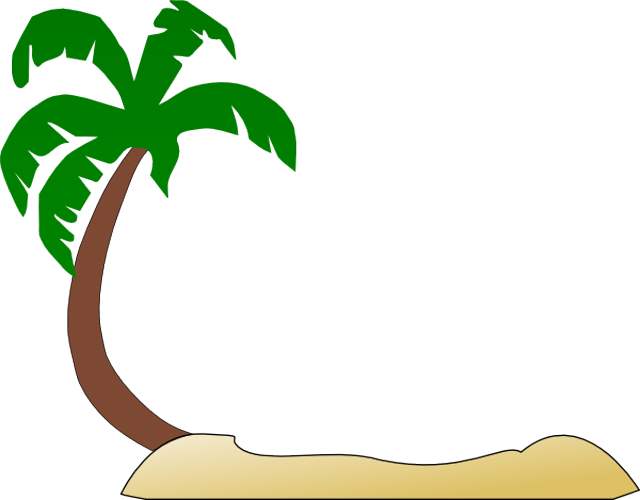 640x500 Christmas Tree Clipart Palm Tree