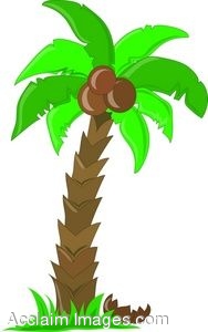 188x300 Coconut Palm Tree Clipart