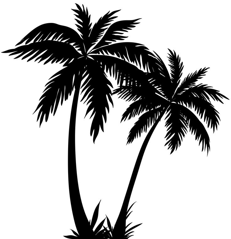 Palm Tree Clipart Black And White | Free download on ClipArtMag