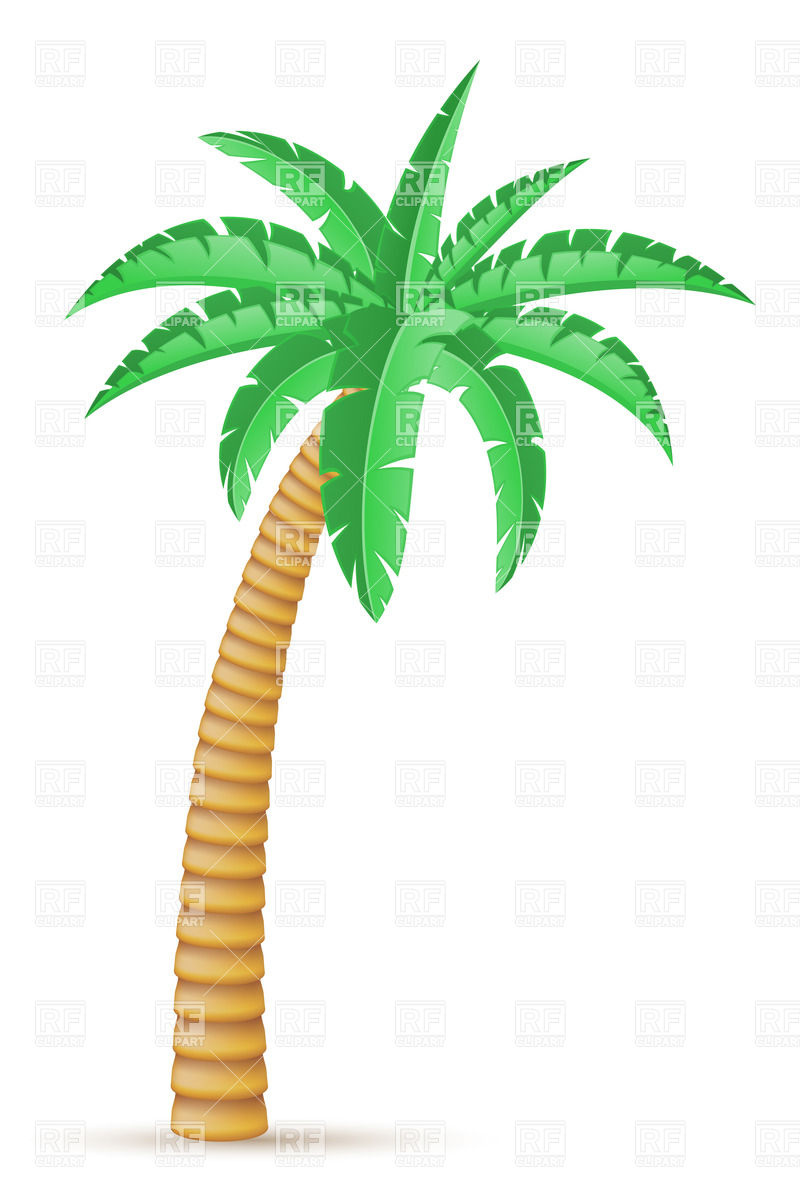800x1200 Surfboard Palm Tree Clipart