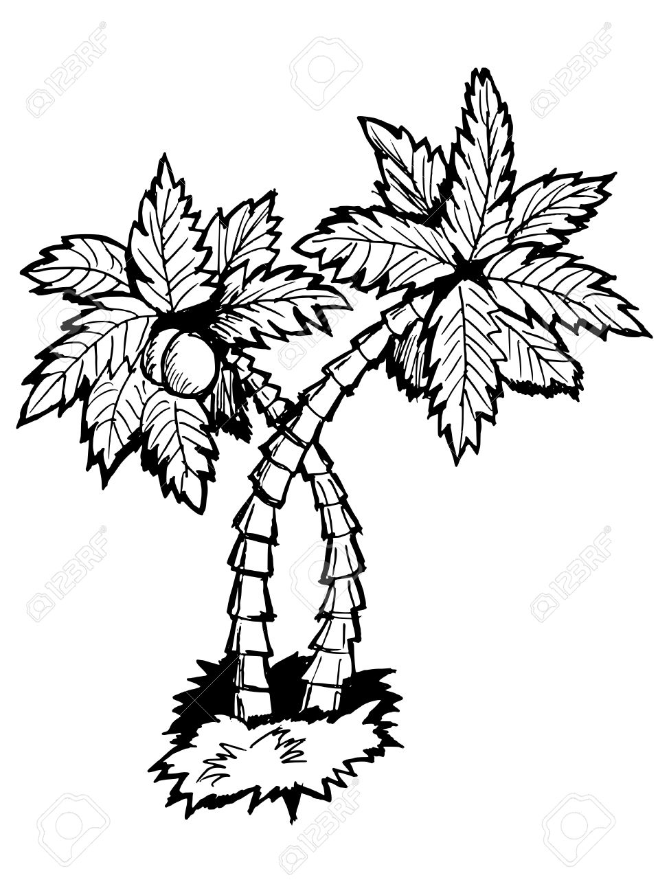 974x1300 Palm Tree Cartoon Drawing Hand Drawn, Vector, Cartoon Illustration