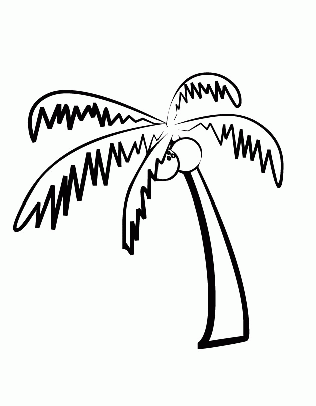 630x810 Palm Tree Coloring Pages 291 Free Printable Coloring Pages