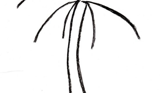 570x320 Palm Tree Drawing Palm Tree Drawing Clipartsco