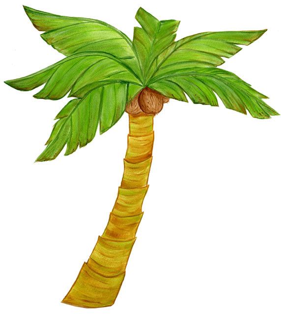 572x640 The Best Palm Tree Drawing Ideas Palm Tree