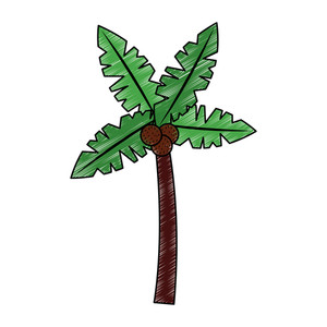 300x300 Vector Drawing Of Palm Tree Royalty Free Stock Image