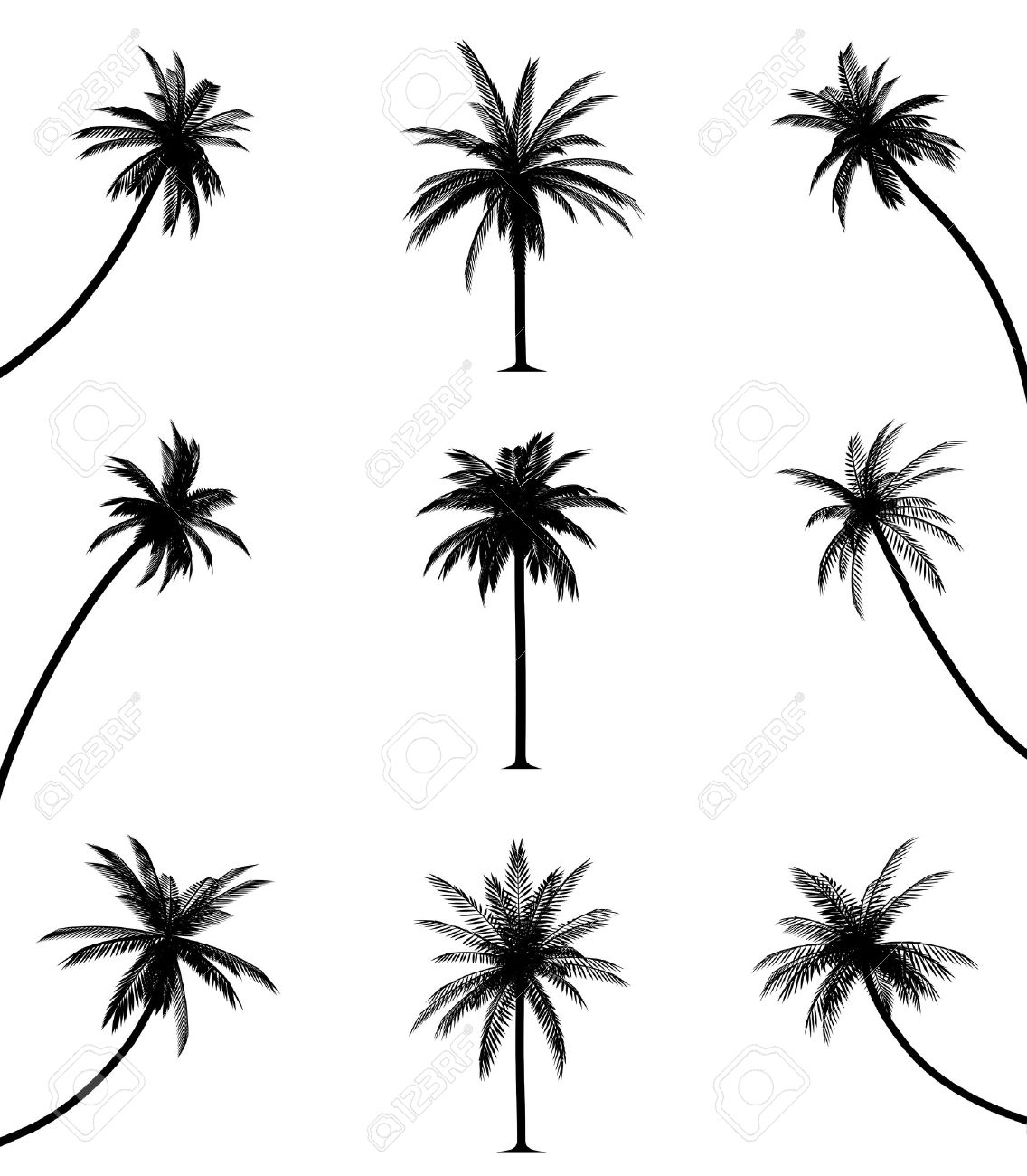 1136x1300 Drawing Palm Tree Free The Palm Trees= Free Clipart Images
