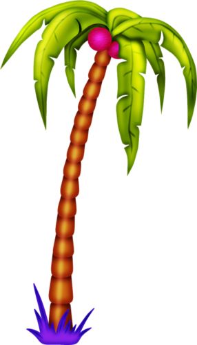 Palm Tree Hawaiian