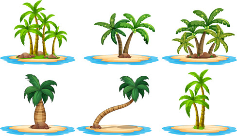 488x280 Sea Islands Palm Tree Vector Free Vector In Encapsulated