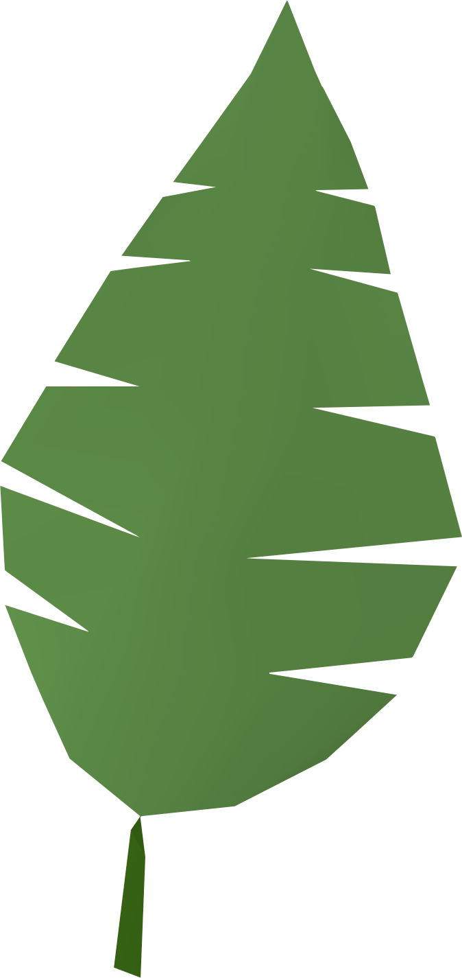 674x1425 Palm Tree Clipart Palm Frond