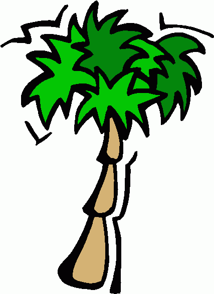 427x588 Clip Art Palm Tree Leaves Clipart