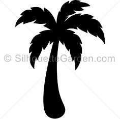 Palm Tree Line Art