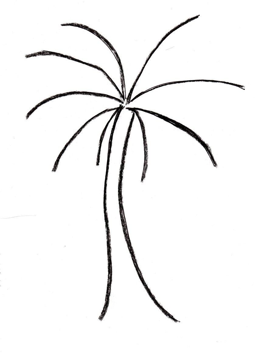 845x1171 Drawn Palm Tree Line Drawing