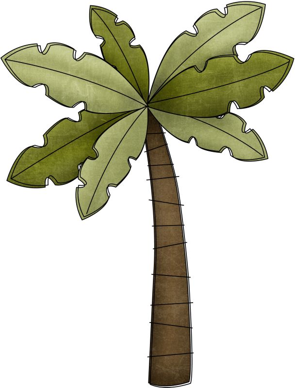 608x800 Best Palm Tree Clip Art Ideas Palm Tree Images