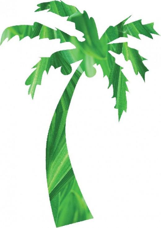 520x739 Tree Clip Art 175 Free Clip Art Trees Hubpages