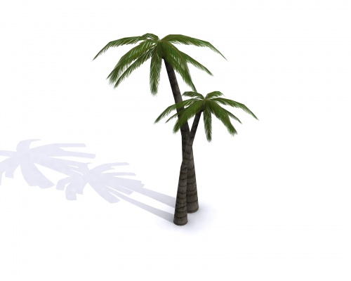 500x400 Palm Tree 3d Model Clipart Panda