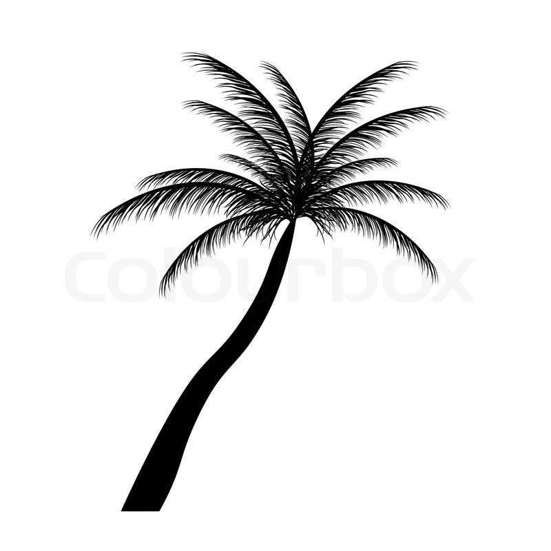 800x800 Silhouette Of Palm Trees Vector Illustration Stock Vector