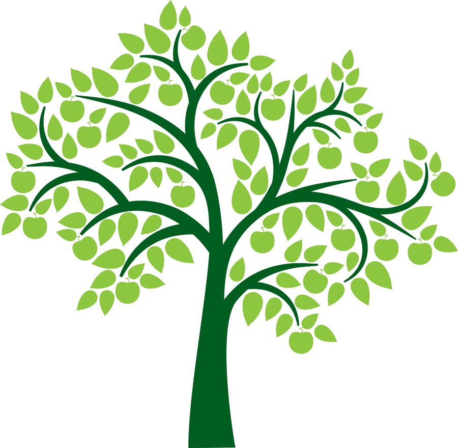 900x880 Tree Clipart Clear Background