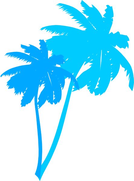 Palm Tree Picture