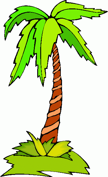 357x588 Palm Tree Clip Art 8 3