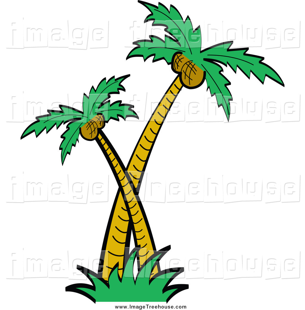 1024x1044 Palm Tree Root Clipart