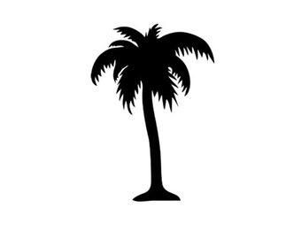 340x270 Palm Trees Etsy