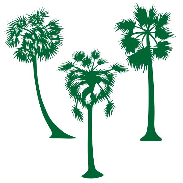 600x600 Sugar Palm Tree Svg Cuttale Design