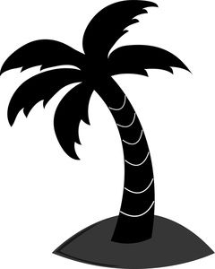 240x300 Palm Tree Silhouette Black White