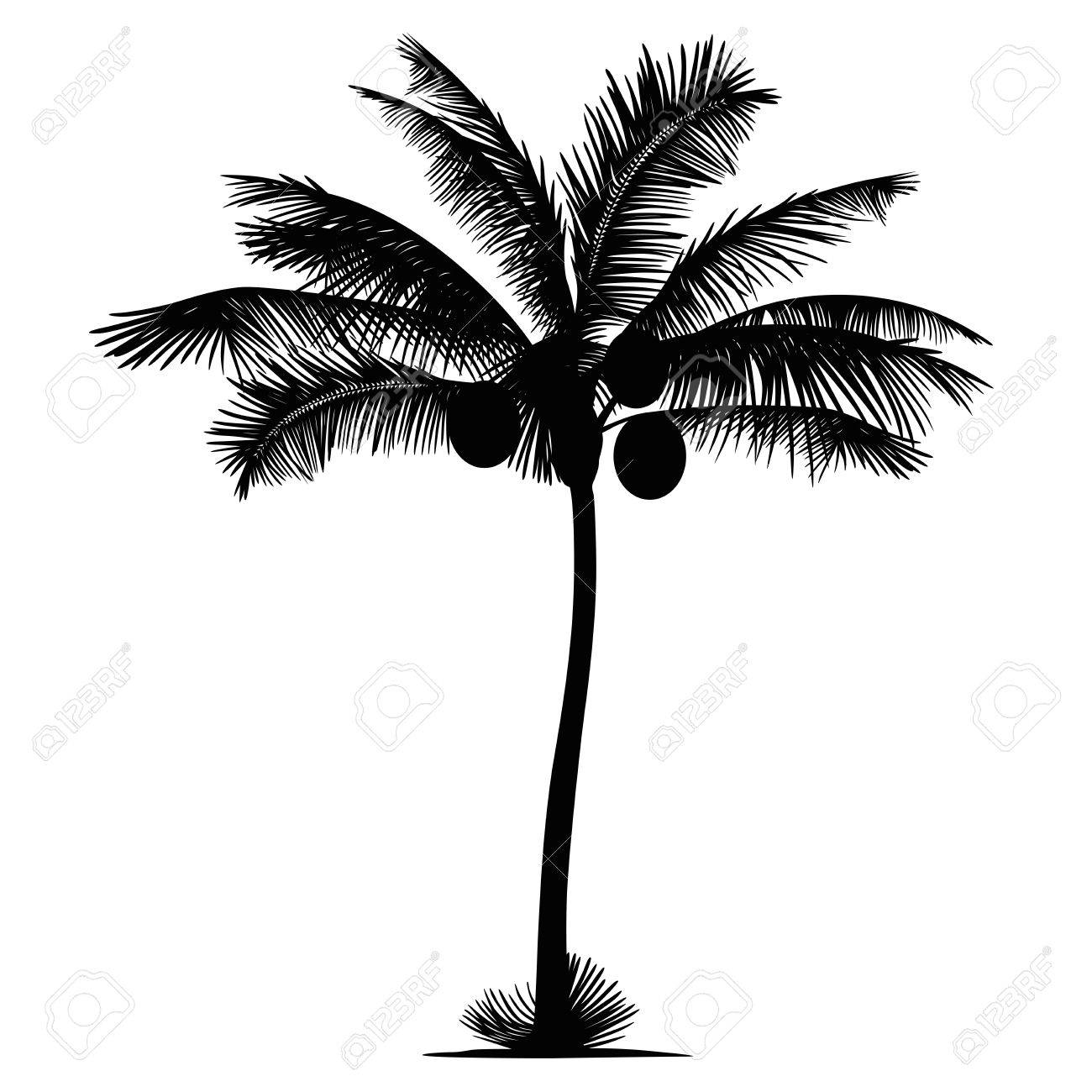 1300x1300 Palm Tree Coconut Silhouette Royalty Free Cliparts, Vectors,