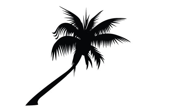 550x354 Palm Tree Silhouette Vector Free Download Agriculture Vector