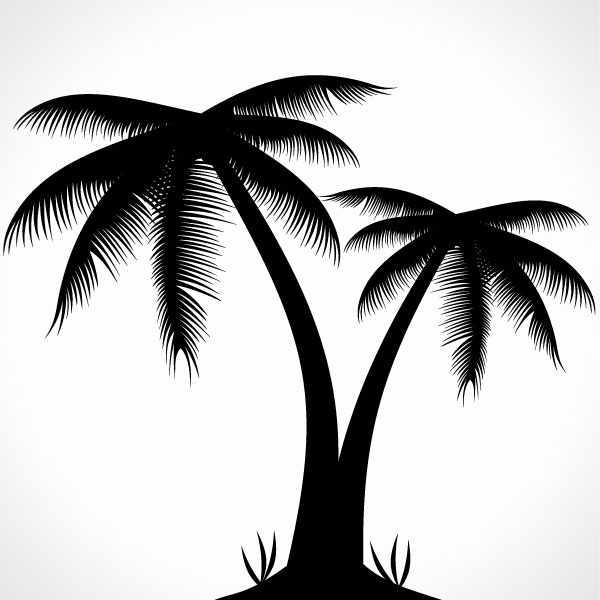 600x600 Palm Tree Silhouette Vector Illustration 123freevectors