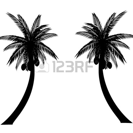450x450 Palm Trees Silhouette Images Amp Stock Pictures. Royalty Free Palm