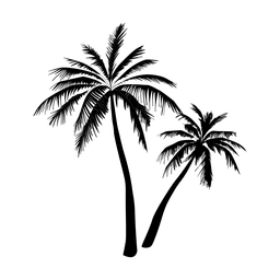 256x256 Palm Palm Tree