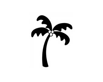 340x270 Small Palm Tree Etsy