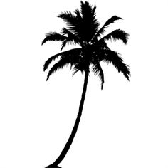 236x236 Palm%20tree%20silhouette Pta Palm