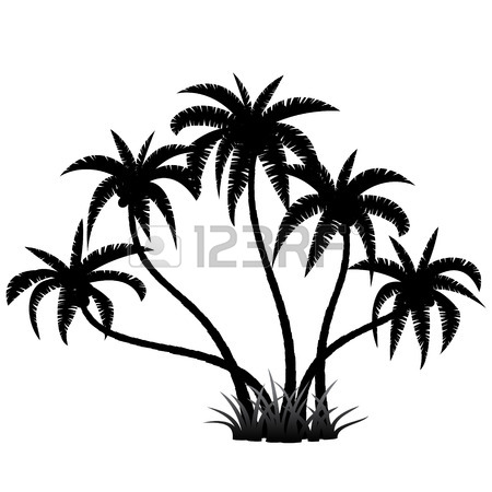 450x450 Black Palm Tree Silhouette On White Background Royalty Free