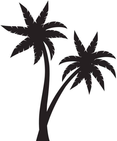 Palm Tree Silhouette Png | Free download on ClipArtMag