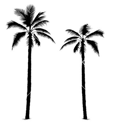380x400 Palm Tree Silhouette Clipart