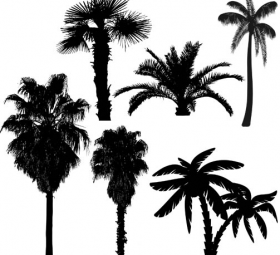 Palm Tree Silhouette Png | Free download on ClipArtMag