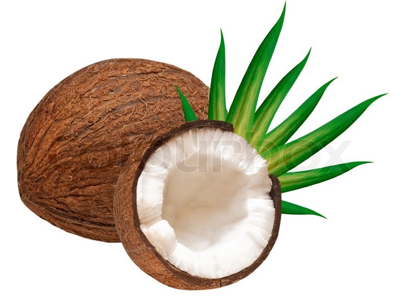 800x600 Coconut Isolated On White Background Stock Photo Colourbox