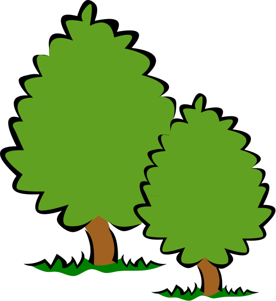 551x600 Transparent Tree Clipart
