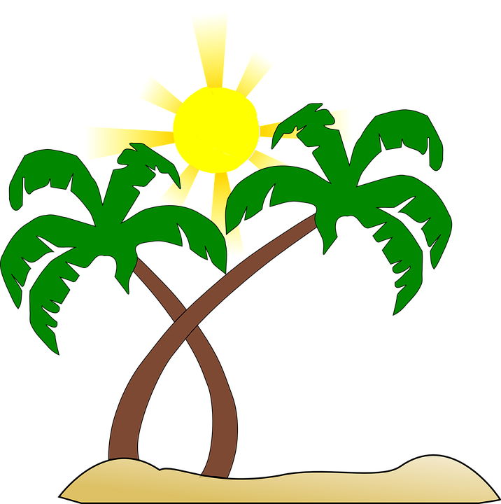 716x720 Palm Tree Clipart Brown