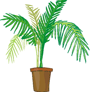 399x384 Palm Tree Clip Art 7
