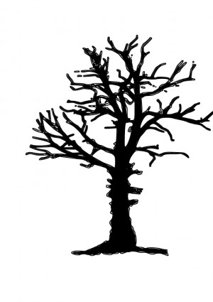 300x425 Live And Dead Tree Clipart