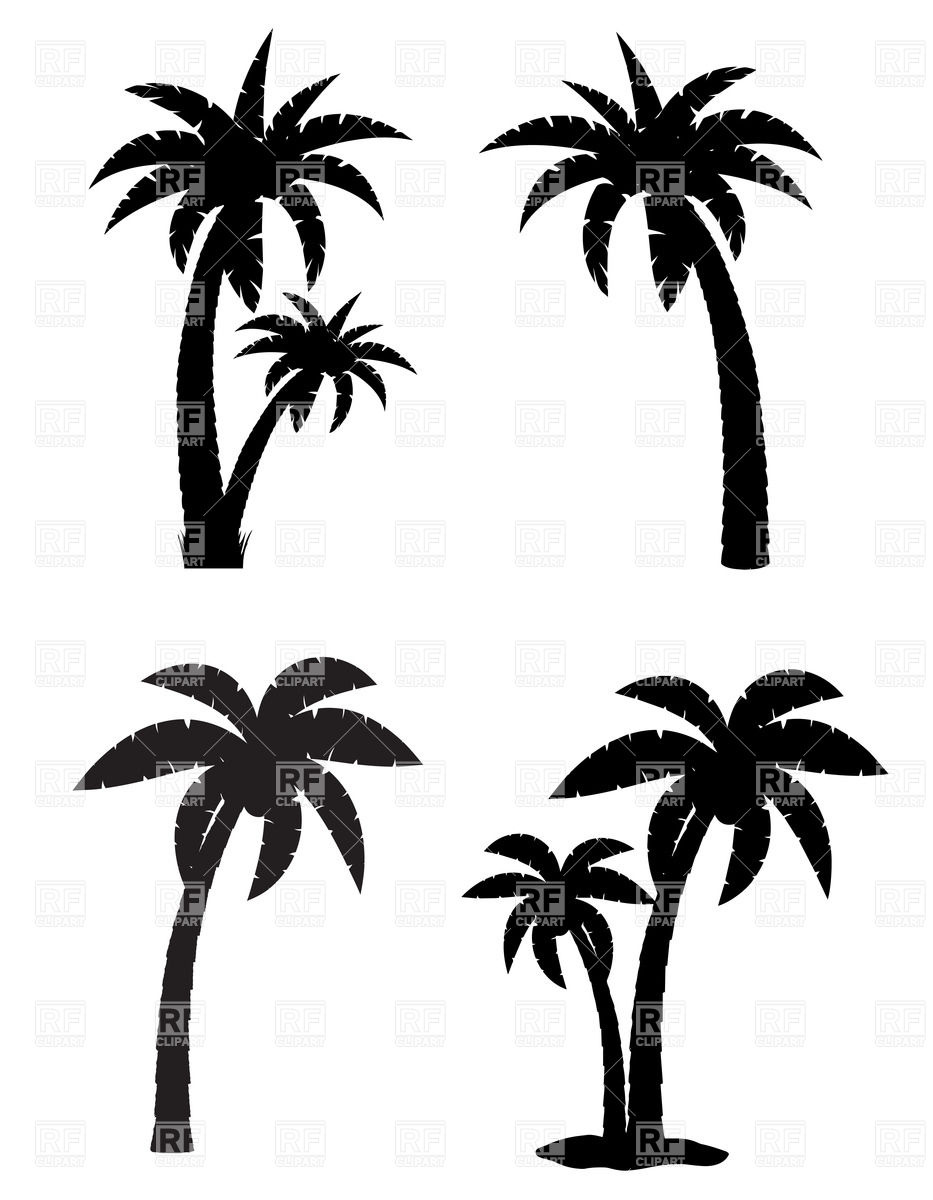 933x1200 Palm Tree Clipart Black And White