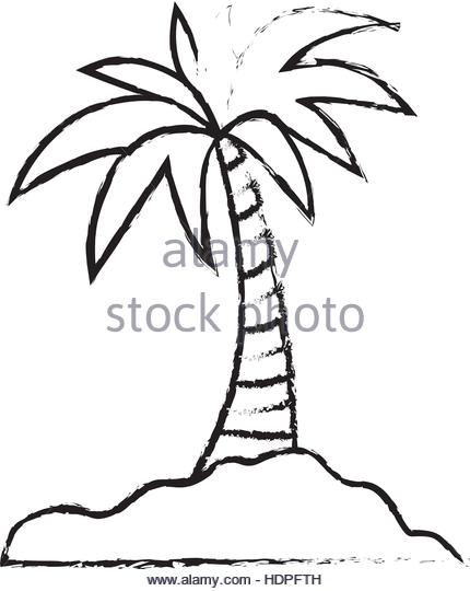 430x540 Palm Tree Illustration Black And White Stock Photos Amp Images