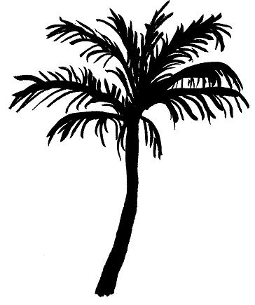 364x435 Palm Tree Clipart Paint