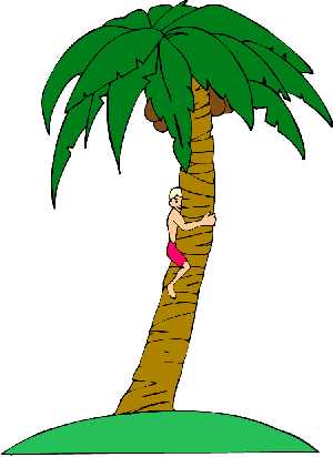 300x412 Palm Tree Clipart Free Free Clipart Images 2