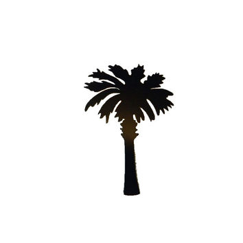 354x354 Shop Palmetto Tree On Wanelo