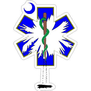 300x300 Carolina Star Of Life Palmetto Tree